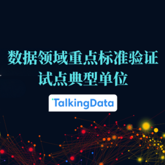 实力见证-入选首批高质量数据集方向标准/技术文件验证试点典型单位