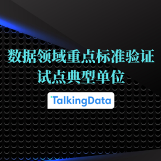 入选！第一批数据服务方向标准/技术文件验证试点典型单位