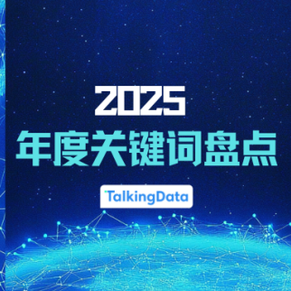 2025 年度关键词盘点